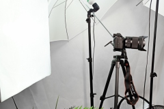 studio2